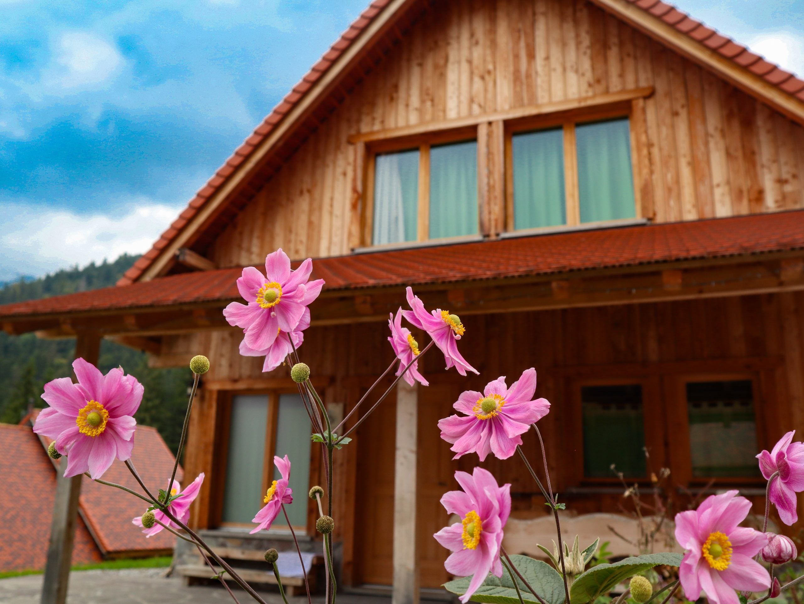 chalet_esterno_4